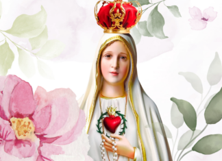 Paróquias iniciam festejos em honra à Nossa Senhora de Fátima